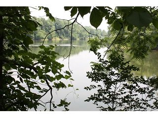 Property photo 15 - 419 +/- Acres offered in 6 Tracts, Land Auction
